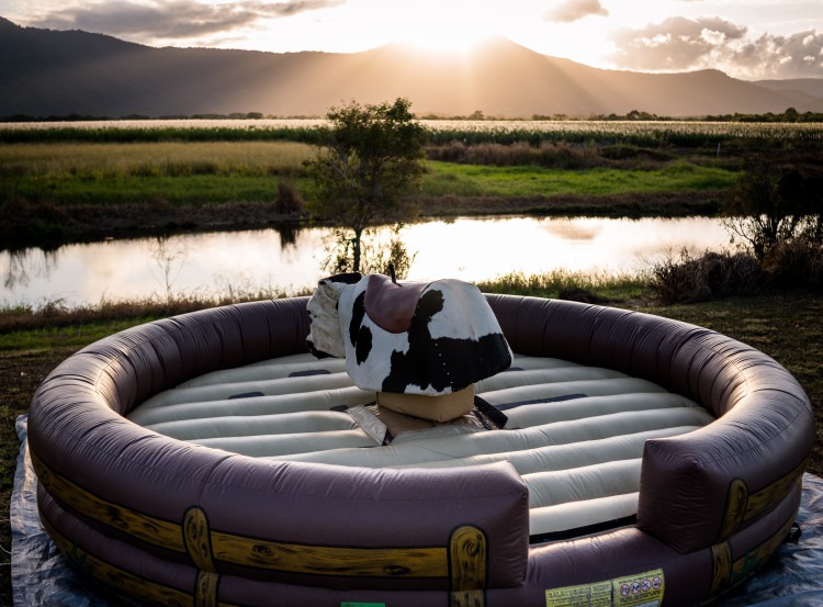 Mechanical Bull